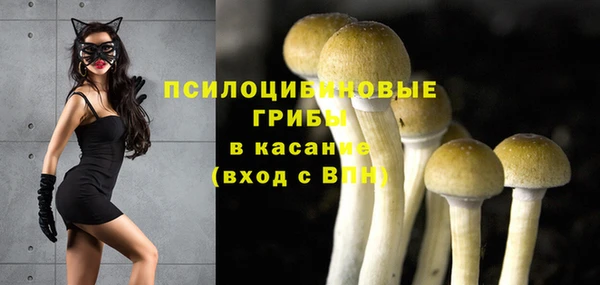 мдма Переславль-Залесский