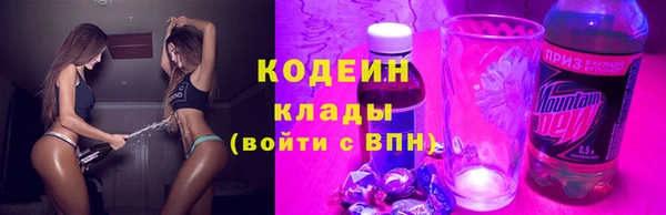мдпв Грязовец