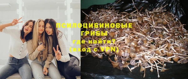 прущая мука Пересвет