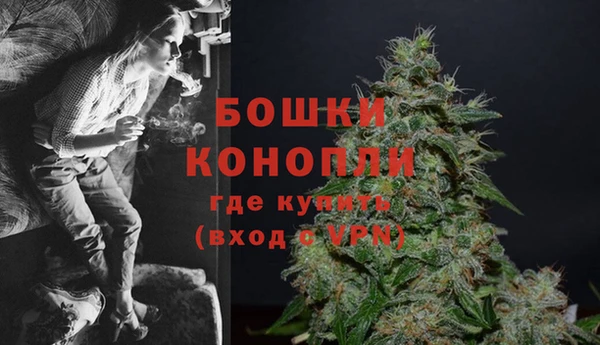 прущая мука Пересвет