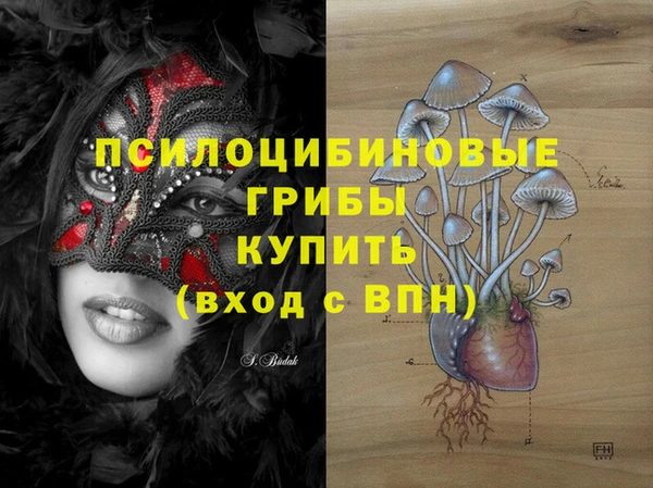 прущая мука Пересвет