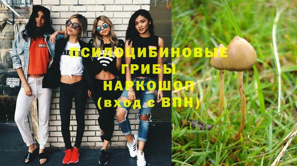 прущая мука Пересвет