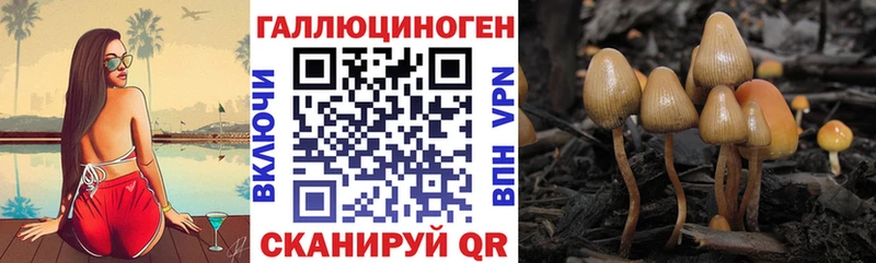 наркота  Ревда  Псилоцибиновые грибы мицелий 