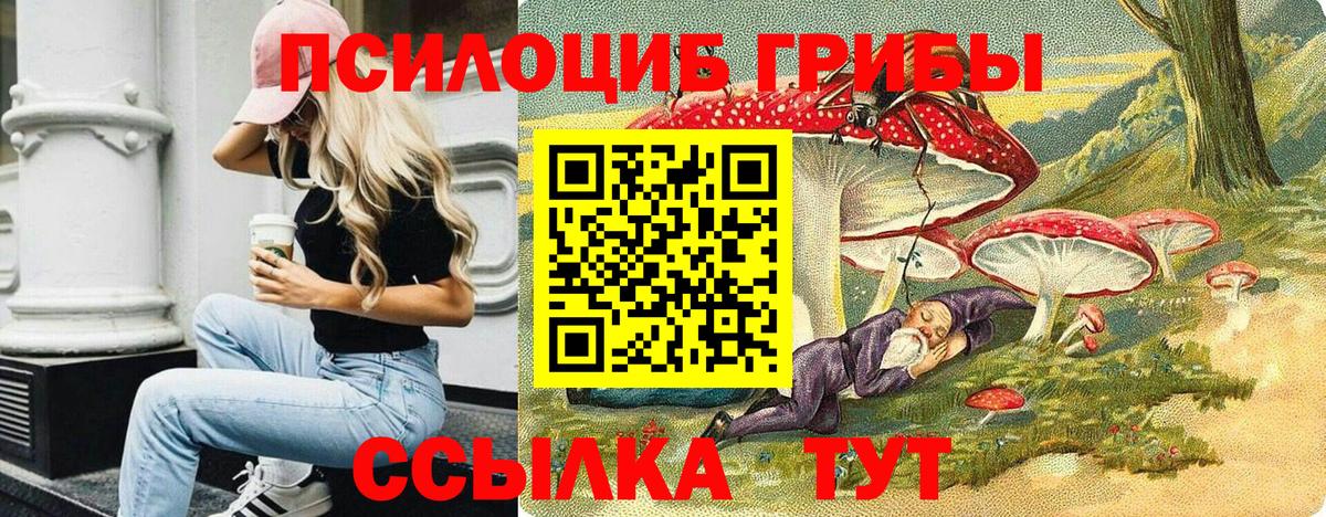 Галлюциногенные грибы GOLDEN TEACHER Ревда